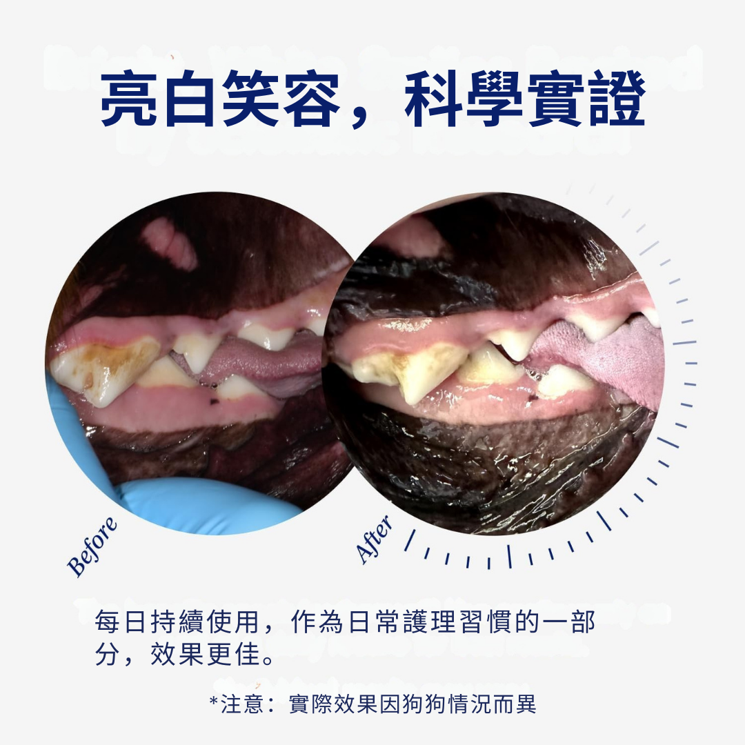 狗狗全天然潔牙護齒配方