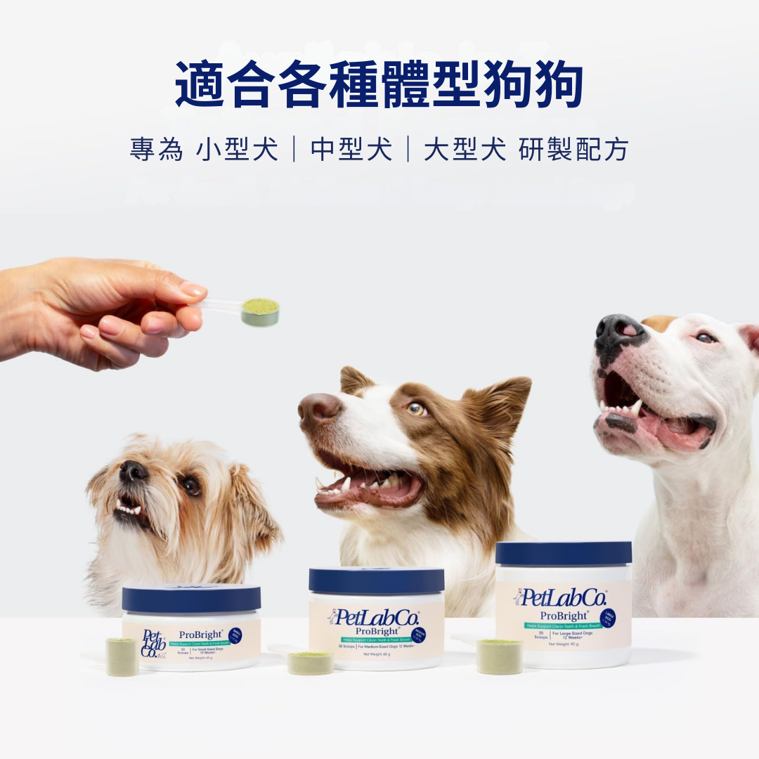 狗狗全天然潔牙護齒配方